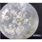 KONVOJ - Pun mjesec, 2005 (CD)